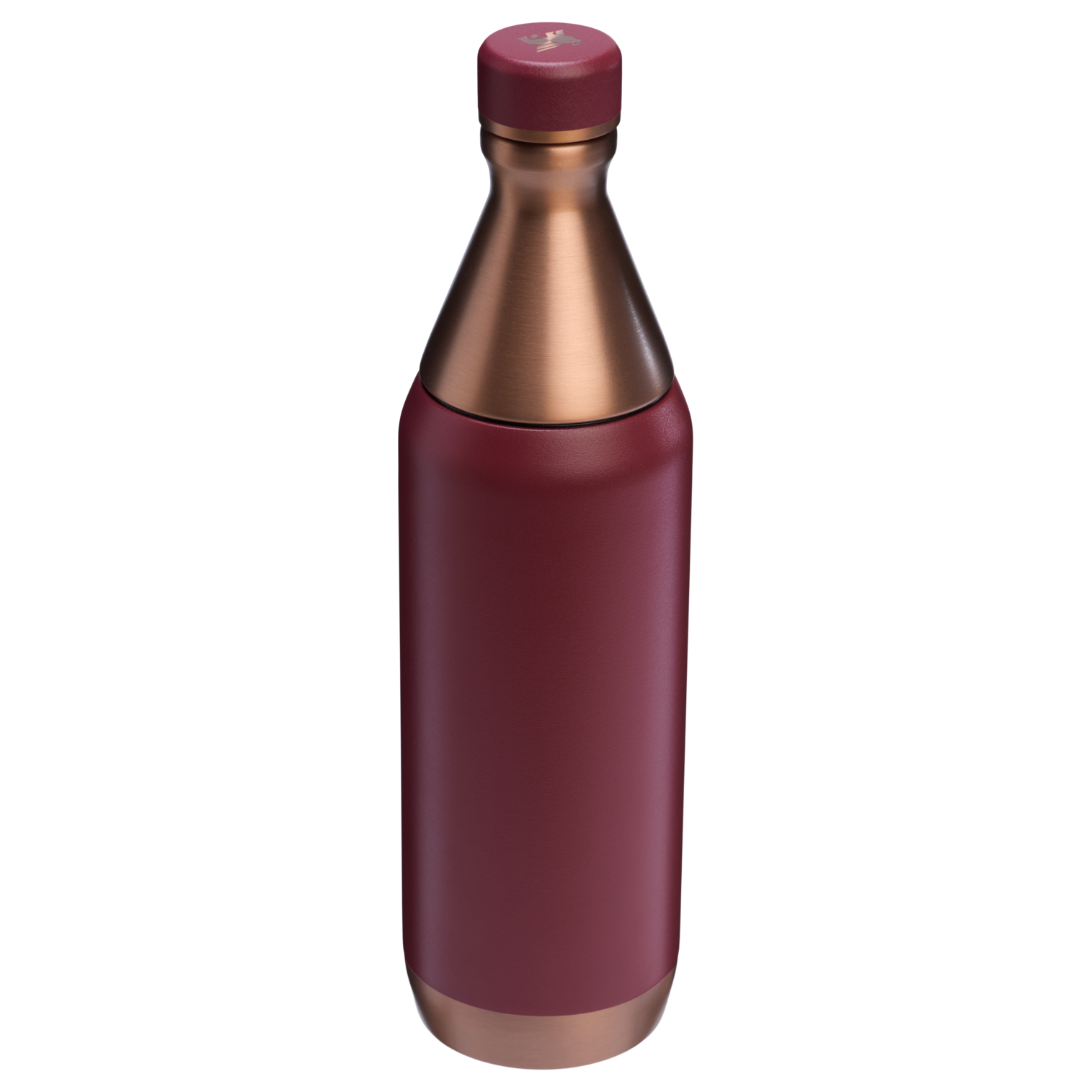 All Day Slim Bottle | 20 OZ - Stanley Create - Image 60